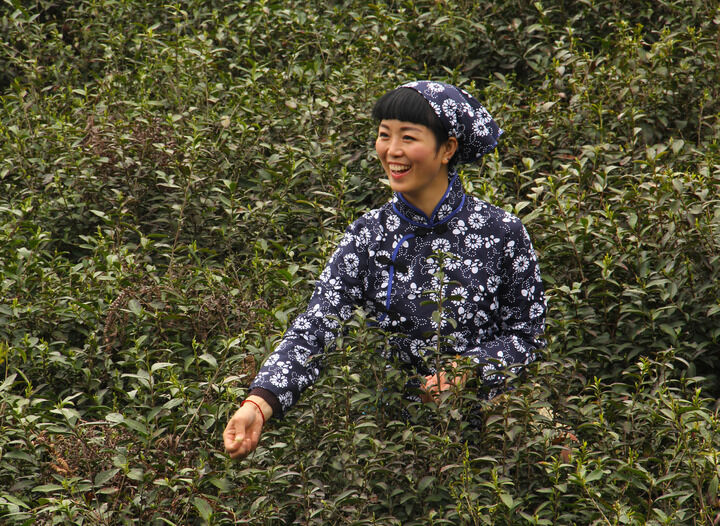 排行5